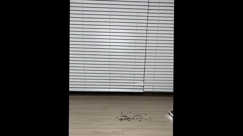 아이룸 무선청소기 차이슨 OG20 진공청소기