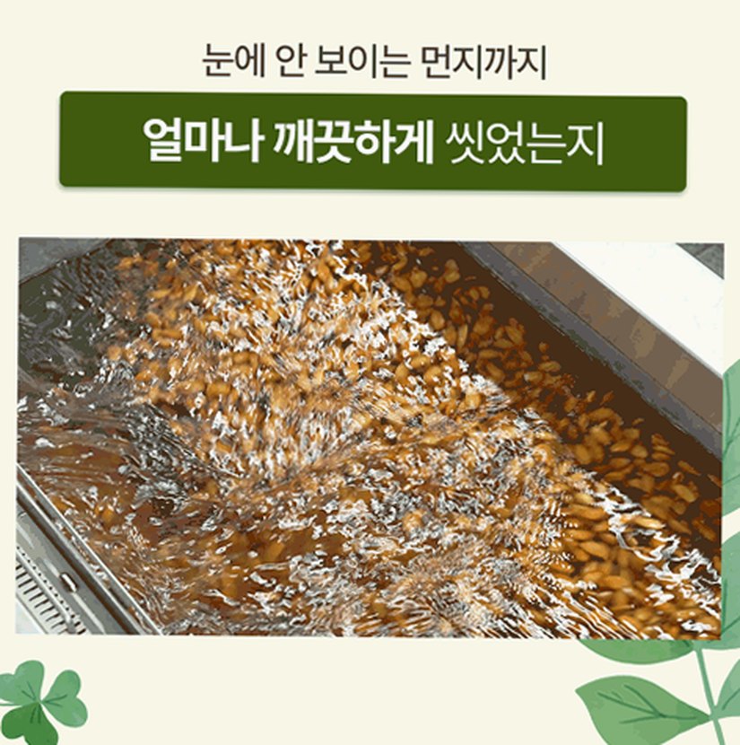 호두얌 캘리포니아 구운 햇 호두 반태 290g